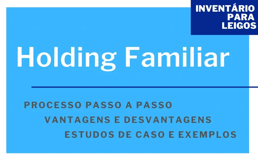 Holding Familiar O Que é, Vantagens e Desvantagens